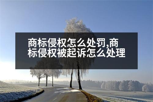 商標侵權(quán)怎么處罰,商標侵權(quán)被起訴怎么處理