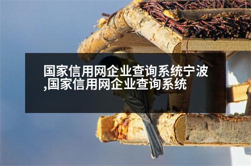 國家信用網(wǎng)企業(yè)查詢系統(tǒng)寧波,國家信用網(wǎng)企業(yè)查詢系統(tǒng)