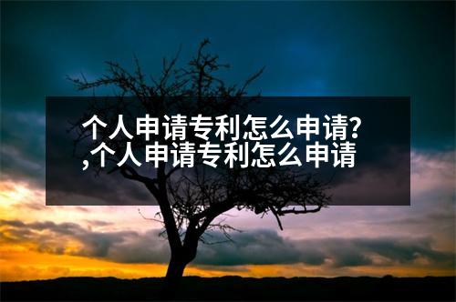 個(gè)人申請(qǐng)專利怎么申請(qǐng)？,個(gè)人申請(qǐng)專利怎么申請(qǐng)