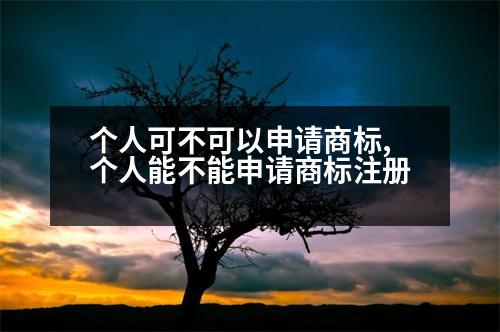 個(gè)人可不可以申請(qǐng)商標(biāo),個(gè)人能不能申請(qǐng)商標(biāo)注冊(cè)