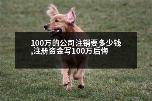 100萬(wàn)的公司注銷(xiāo)要多少錢(qián),注冊(cè)資金寫(xiě)100萬(wàn)后悔