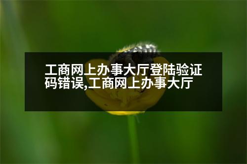 工商網(wǎng)上辦事大廳登陸驗(yàn)證碼錯(cuò)誤,工商網(wǎng)上辦事大廳