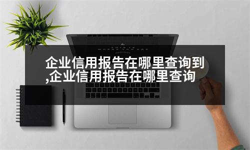 企業(yè)信用報告在哪里查詢到,企業(yè)信用報告在哪里查詢