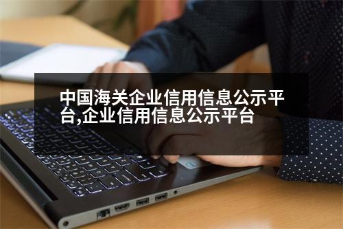 中國海關(guān)企業(yè)信用信息公示平臺(tái),企業(yè)信用信息公示平臺(tái)