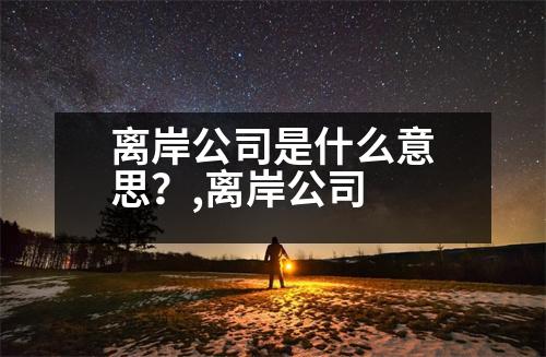 離岸公司是什么意思？,離岸公司