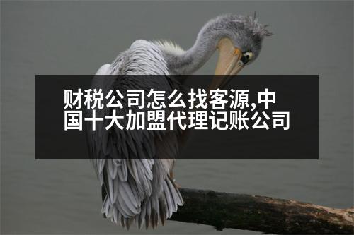 財(cái)稅公司怎么找客源,中國(guó)十大加盟代理記賬公司