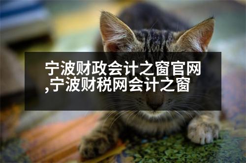 寧波財(cái)政會(huì)計(jì)之窗官網(wǎng),寧波財(cái)稅網(wǎng)會(huì)計(jì)之窗