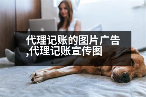 代理記賬的圖片廣告,代理記賬宣傳圖