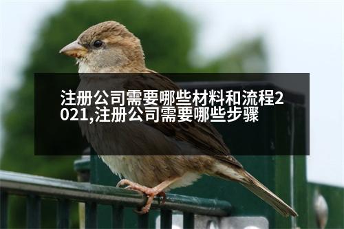 注冊(cè)公司需要哪些材料和流程2021,注冊(cè)公司需要哪些步驟