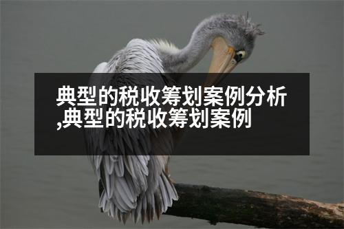 典型的稅收籌劃案例分析,典型的稅收籌劃案例