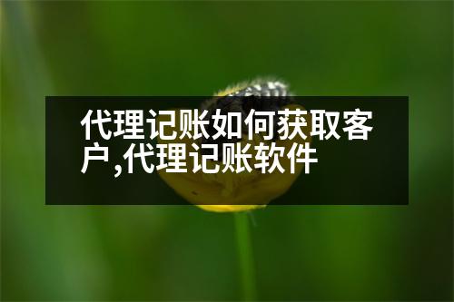 代理記賬如何獲取客戶(hù),代理記賬軟件