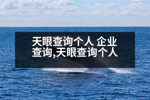 天眼查詢個人 企業(yè)查詢,天眼查詢個人