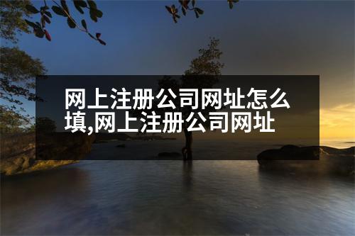 網(wǎng)上注冊(cè)公司網(wǎng)址怎么填,網(wǎng)上注冊(cè)公司網(wǎng)址