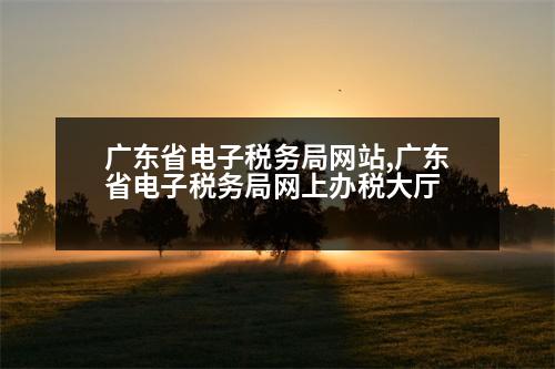 廣東省電子稅務(wù)局網(wǎng)站,廣東省電子稅務(wù)局網(wǎng)上辦稅大廳