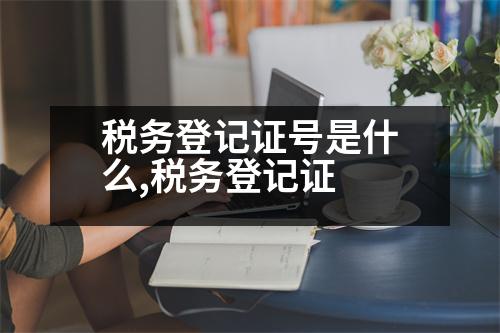 稅務登記證號是什么,稅務登記證