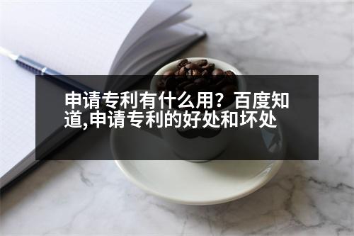 申請(qǐng)專(zhuān)利有什么用？百度知道,申請(qǐng)專(zhuān)利的好處和壞處