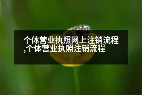 個體營業(yè)執(zhí)照網(wǎng)上注銷流程,個體營業(yè)執(zhí)照注銷流程