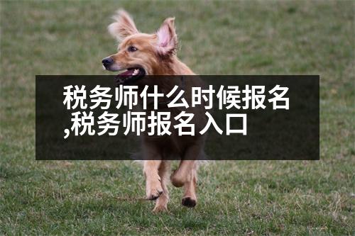 稅務師什么時候報名,稅務師報名入口