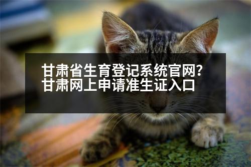 甘肅省生育登記系統(tǒng)官網(wǎng)？甘肅網(wǎng)上申請準生證入口