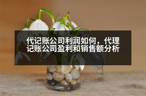 代記賬公司利潤如何，代理記賬公司盈利和銷售額分析