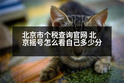 北京市個稅查詢官網(wǎng) 北京搖號怎么看自己多少分