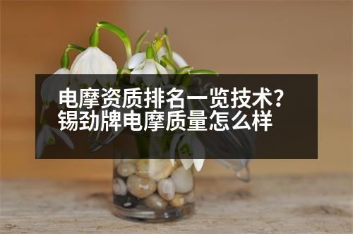 電摩資質(zhì)排名一覽技術(shù)？錫勁牌電摩質(zhì)量怎么樣