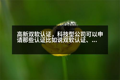 高新雙軟認證，科技型公司可以申請那些認證比如說雙軟認證、高新認證。說全