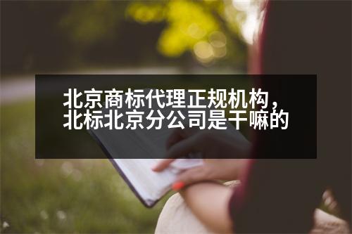 北京商標代理正規(guī)機構(gòu)，北標北京分公司是干嘛的