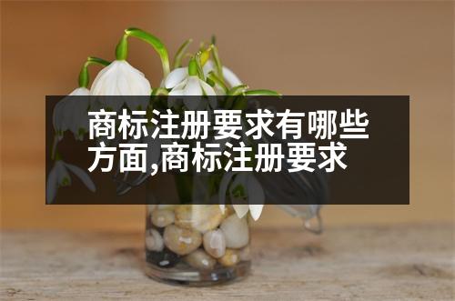 商標(biāo)注冊(cè)要求有哪些方面,商標(biāo)注冊(cè)要求