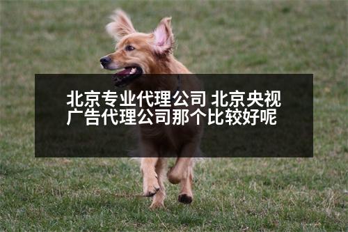 北京專業(yè)代理公司 北京央視廣告代理公司那個比較好呢