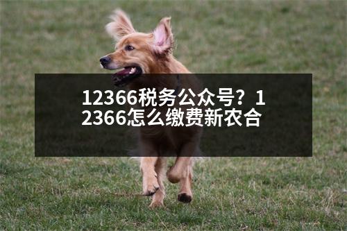 12366稅務(wù)公眾號(hào)？12366怎么繳費(fèi)新農(nóng)合