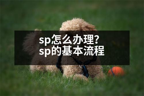 sp怎么辦理？sp的基本流程