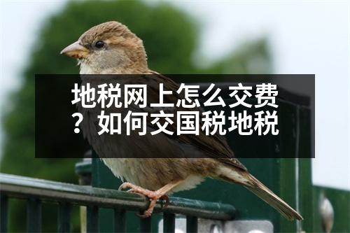 地稅網(wǎng)上怎么交費(fèi)？如何交國稅地稅