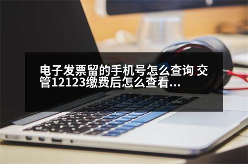 電子發(fā)票留的手機(jī)號(hào)怎么查詢 交管12123繳費(fèi)后怎么查看電子票據(jù)