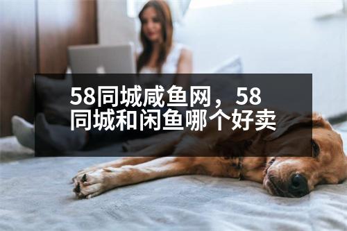 58同城咸魚(yú)網(wǎng)，58同城和閑魚(yú)哪個(gè)好賣