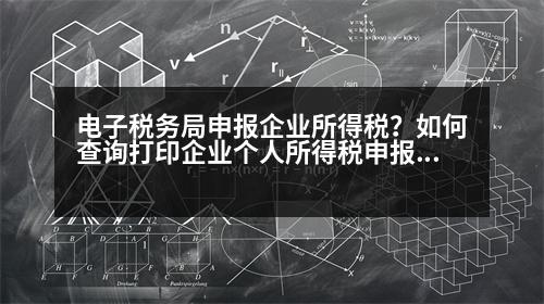 電子稅務(wù)局申報(bào)企業(yè)所得稅？如何查詢打印企業(yè)個(gè)人所得稅申報(bào)明細(xì)