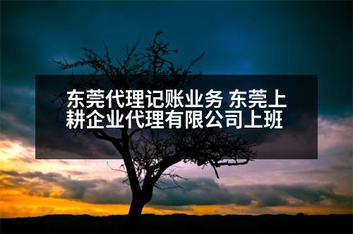 東莞代理記賬業(yè)務 東莞上耕企業(yè)代理有限公司上班