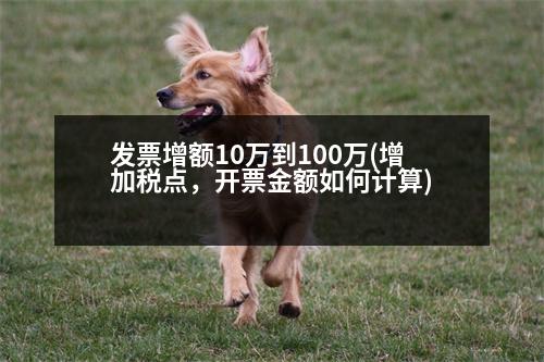 發(fā)票增額10萬到100萬(增加稅點，開票金額如何計算)