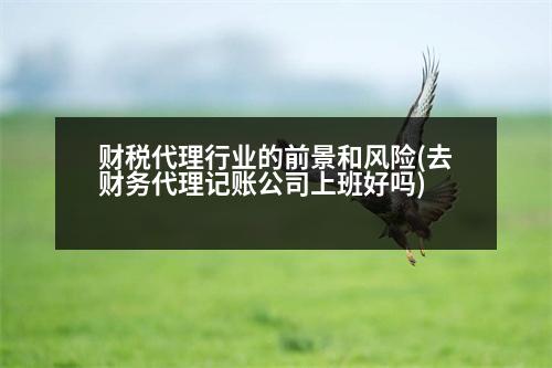 財(cái)稅代理行業(yè)的前景和風(fēng)險(xiǎn)(去財(cái)務(wù)代理記賬公司上班好嗎)