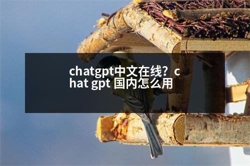 chatgpt中文在線？chat gpt 國內(nèi)怎么用