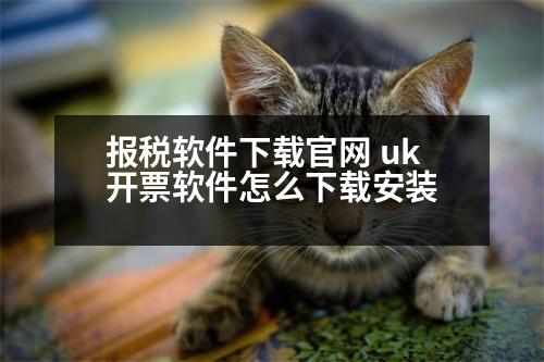 報稅軟件下載官網(wǎng) uk開票軟件怎么下載安裝