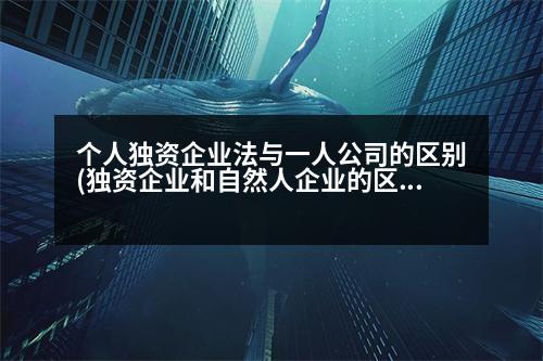 個人獨資企業(yè)法與一人公司的區(qū)別(獨資企業(yè)和自然人企業(yè)的區(qū)別)