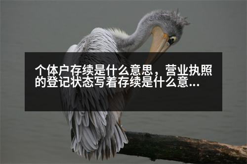 個體戶存續(xù)是什么意思，營業(yè)執(zhí)照的登記狀態(tài)寫著存續(xù)是什么意思