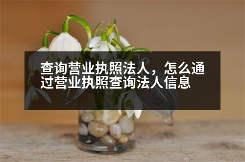 查詢營業(yè)執(zhí)照法人，怎么通過營業(yè)執(zhí)照查詢法人信息