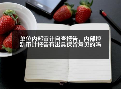 單位內(nèi)部審計自查報告，內(nèi)部控制審計報告有出具保留意見的嗎