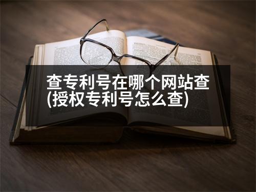 查專利號(hào)在哪個(gè)網(wǎng)站查(授權(quán)專利號(hào)怎么查)