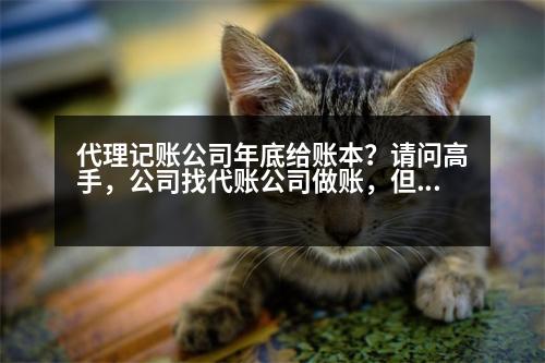 代理記賬公司年底給賬本？請問高手，公司找代賬公司做賬，但賬本賬冊代賬公司要保管，這可以嗎