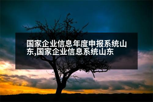 國(guó)家企業(yè)信息年度申報(bào)系統(tǒng)山東,國(guó)家企業(yè)信息系統(tǒng)山東