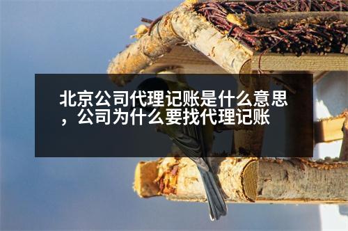 北京公司代理記賬是什么意思，公司為什么要找代理記賬