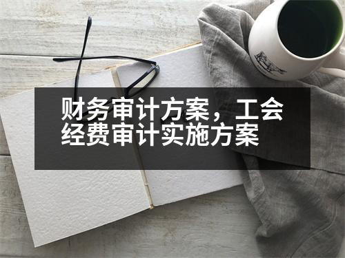 財務(wù)審計方案，工會經(jīng)費審計實施方案